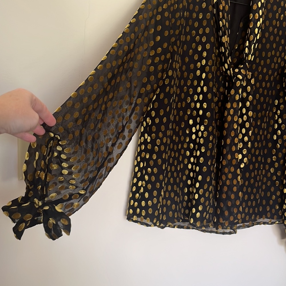 Express Long Sleeve Sheer Lined Gold Velvet Dot Blouse Size Small - Picture 6 of 11